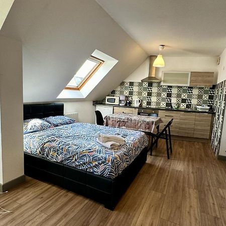 Appartement 4 Personnes En Plein Centre De Colmar Dış mekan fotoğraf