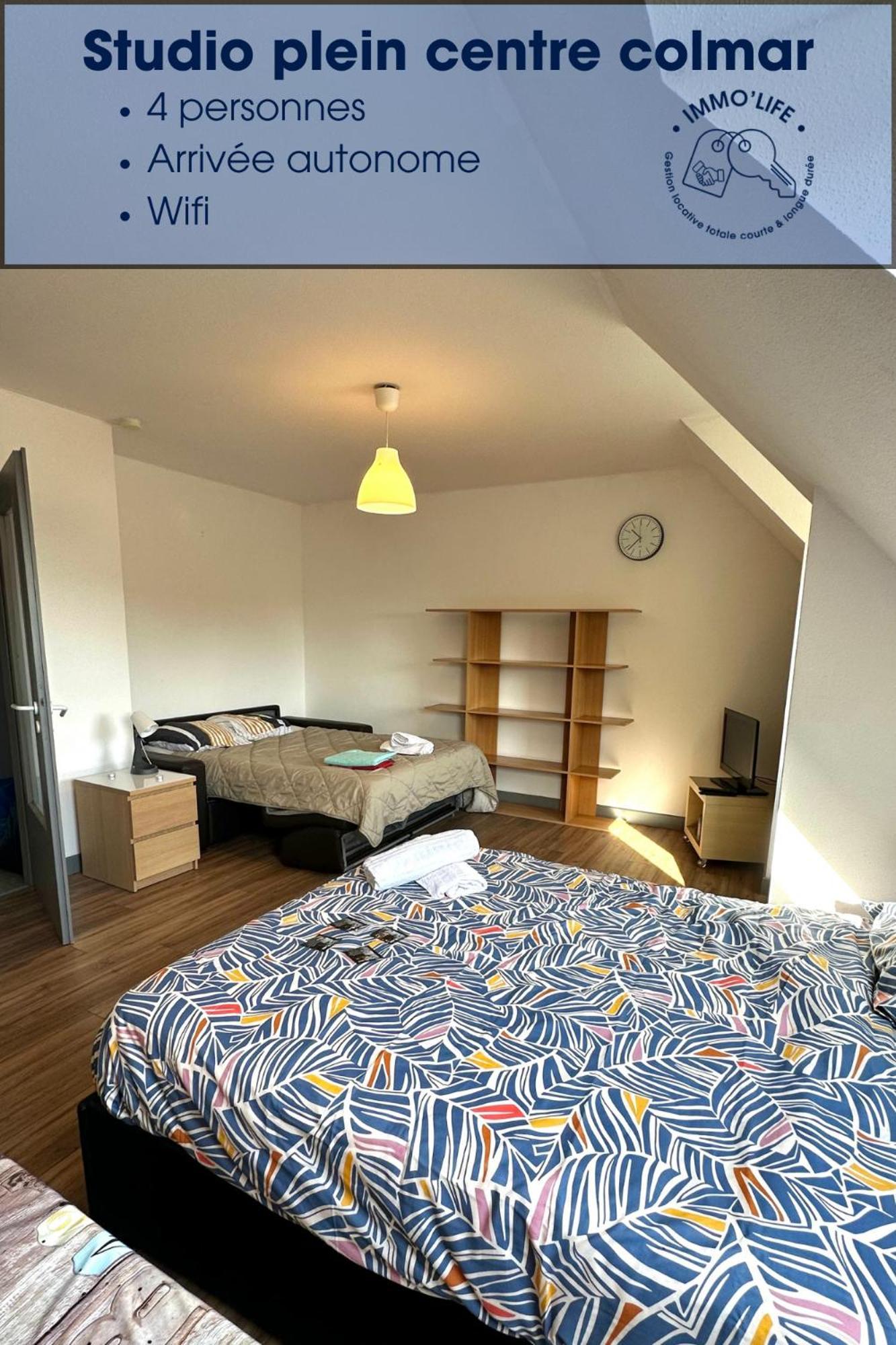 Appartement 4 Personnes En Plein Centre De Colmar Dış mekan fotoğraf